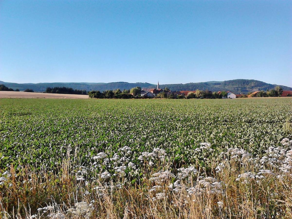 Apartment 2 Langelsheim Harz ภายนอก รูปภาพ